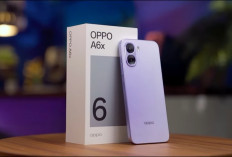 Bingung Pilih HP OPPO 2026? Ini 5 Seri dengan Spesifikasi yang Berbeda