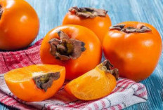 Manfaat Buah Kesemek, Buah Pegunungan yang Kaya Nutrisi dan Baik untuk Kesehatan