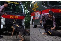 Polres Malang Perkuat Kesiapsiagaan Bencana, Unit K9 Kini Miliki Anjing Pelacak Jenazah