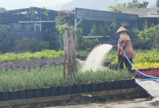Grand Design Smart Integrated Farming Giripurno Rampung, Batu Siapkan Pertanian Berbasis IoT