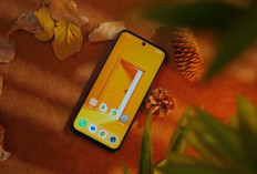 HP Murah 2026 Makin Sulit Dicari, 7 Pilihan Ini Punya Spek yang Tak Terduga