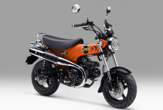 Honda ST125 Dax Punya 2 Warna Baru, Harga Rp84,5 Juta dan Mesin 125 cc