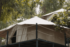 9 Glamping Paling Eksotis di Batu hingga Malang: Dari Tenda Korea hingga Dome Mewah di Lereng Gunung