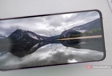 8 HP Samsung Galaxy S Series yang Masih Layak Dibeli pada 2026, Ini Pilihannya