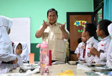 Penerima MBG Bakal Dibatasi? BGN Kaji Siswa dari Keluarga Mampu Tak Lagi Dapat Makan Gratis