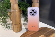 7 HP Kamera OIS Oppo dan Samsung Terbaik 2026 Harga Rp3 Jutaan, Hasil Foto Stabil dan Cocok untuk Konten