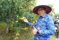 Pertanian Kota Batu Terancam Tergeser Pariwisata, Cak Nur Dorong Smart Farming untuk Regenerasi