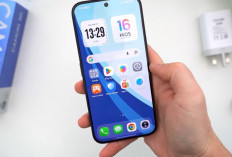 5 HP 4 Jutaan Ini Punya Spek Menggoda, Mana yang Paling Worth It?
