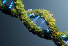 26 Januari Hari Energi Bersih Internasional, PBB Serukan Percepatan Transisi Global yang Berkeadilan