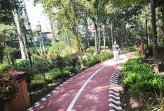 ‎Taman Hutan Bondas Kota Batu Kini Punya Jogging Track Baru Bernuansa Modern