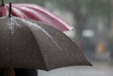 Cuaca Malang Raya 6 Februari 2026: Dominan Hujan Ringan, Udara Sejuk, Waspada Gelombang Tinggi Malang Selatan