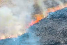 Pemadaman Karhutla Bromo Terkendala Medan, BNPB Kerahkan Dua Helikopter Water Bombing