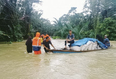 Banjir Parah di Pandeglang, Ketinggian Air sampai 1 Meter, Rendam 23 Desa 