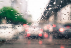 Cuaca Malang Raya 11 Februari 2026: Dominan Hujan Ringan, Potensi Badai Petir di Perairan Malang Selatan