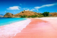 Komitmen Ekologi di Balik Eloknya Pantai Tiga Warna, Malang: Destinasi Wisata Bahari Berbasis Konservasi