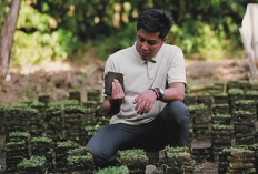Dari Utang Ratusan Juta hingga Pasok Rumput ke IKN, Kisah Sukses Mas Bagus Jadijaya Landscape