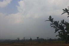 Prakiraan Cuaca Kota Batu 11 Oktober 2026: Kabut dan Potensi Hujan Ringan