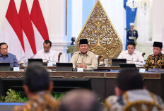 AS Serang Iran, MUI Minta Indonesia Keluar dari Board of Peace, Menlu Sugiono Respons Begini