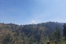 Cuaca Gunung Malang 9 September: Suhu Bisa 8°C, Laut Selatan Gelombang 2,9 Meter