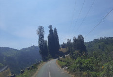 Prakiraan Cuaca Malang Raya 20 Agustus 2026: Suhu 15-30°C, Dominan Cerah hingga Cerah Berawan