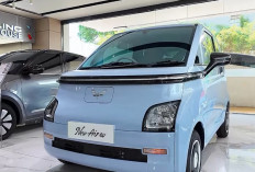 Harga Wuling Air ev Lite Turun, DP Mulai Rp5 Jutaan dan Cicilan Rp2,5 Juta per Bulan