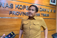 530 KDKMP Beroperasi di Jatim, Kadiskop Jatim: Beda dengan Ritel Modern, Keuntungan kembali ke Warga