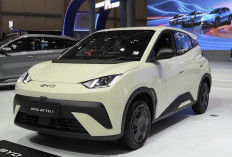 BYD Atto 1 Standar Resmi Jadi Varian Termurah, Fitur Apa Saja yang Dipangkas?
