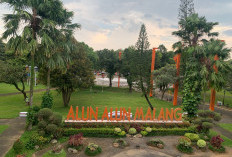 Alun-Alun Merdeka Kota Malang Resmi Dibuka Hari Ini 28 Januari 2026