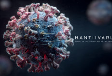 ‎Hati-hati dengan Tikus, Dinkes Batu Ingatkan Bahaya Hantavirus yang Serang Organ Vital