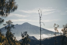 Pendakian Gunung Arjuno-Welirang Dibuka Lagi Setelah 6 Bulan Ditutup