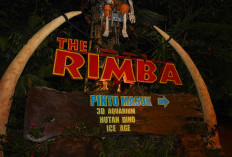 The Rimba Dino Park Jatim Park 3, Hadirkan Pengalaman Edukatif Menjelajahi Dunia Dinosaurus