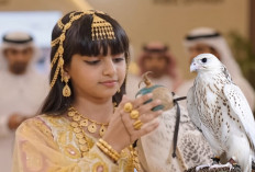 Gyrfalcon Ultra Putih Terjual Rp7,2 Miliar di ADIHEX 2026, Seberapa Langka Burung Ini?
