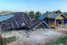 Gempa NTT M7,7 Tewaskan 47 Orang, BNPB Fokus Evakuasi dan Penyelamatan Warga