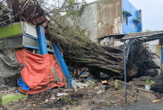 Cuaca Ekstrem di Kota Batu: Pohon Beringin Tumbang Timpa Toko Smart Print hingga Luluh Lantak