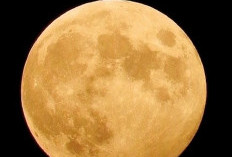 Bulan Pemburu (Hunter’s Moon) 26 Oktober 2026, Ini Waktu Terbaik untuk Mengamatinya