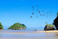 Pantai Clungup Malang Indah Tanpa Bersih Tanpa Sampah, Pantai Edukasi Pelestari Lingkungan