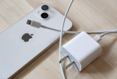 9 Rekomendasi Adapter dan Kabel iPhone MFi: Pilihan Terbaik untuk Jaga Kesehatan Baterai