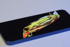 Infinix GT30 5G Rp3 Jutaan Bikin Geger, HP Gaming Serba Bisa dengan Trigger Button dan Kamera Oke