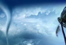 Prakiraan Cuaca 27 Desember: Kota Malang Hujan Sore, Angin Kencang di Sendangbiru-Balekambang, Batu Berkabut