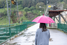 Prakiraan Cuaca 24 Desember : Kota Malang, Batu, Junrejo, Bumiaji, hingga Kepanjen Potensi Hujan Siang-Sore