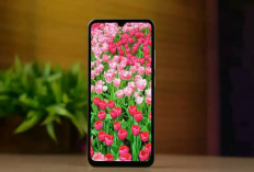 Rekomendasi HP Terbaik 2026 Resmi di Indonesia, dari Poco, Samsung hingga iQOO, Mana Paling Worth It?