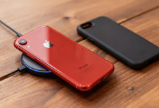 iPhone XR di 2026: Harga Murah tapi Performa Tidak Main-main – 9 Alasan Mengapa Masih Worth It!