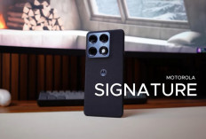 Review Motorola Signature: Flagship Rp11 Jutaan dengan Kamera 8K dan Performa Dingin