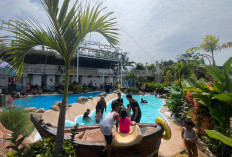 D'kopi Sabin Padukan Taman Rekreasi dan Kafe 