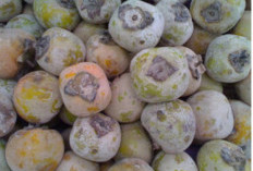 Buah yang Dibedak-i, Biar Tambah Menawan dan Makin Lalu Dijual