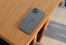 Masih Kuat untuk Main Game? Ini Performa iPhone 12 Pro pada 2026 Beserta Kelebihan dan Kekurangannya
