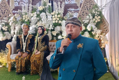 Dari Seni Pedalangan ke Panggung Pernikahan: Kisah Perjalanan Karier Fariz sebagai Pranotocoro