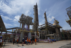 Ditopang Transformasi Tata Kelola dan Efisiensi, Pupuk Indonesia Kembali Masuk Fortune Southeast Asia 500