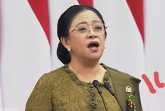 Puan Ungkap Nasib RUU Perampasan Aset, DPR Masih Tunggu Aspirasi Publik