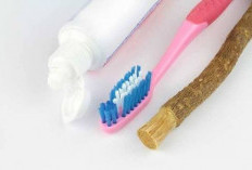 Siwak atau Sikat Gigi, Mana yang Lebih Baik? Ini Penjelasan Ilmiah Menurut WHO dan NCBI